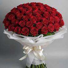 Букет 101 Красная роза Блэк Мэджик #REPLACE_PRED# Пригородном