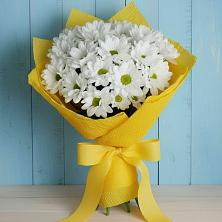 Букет цветов из:  Хризантемы в Пригородном