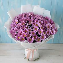 Букет цветов из:  Хризантемы в Пригородном