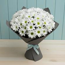 Букет цветов из:  Хризантемы #REPLACE_PRED# Пригородном