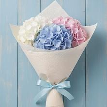 Букет цветов из:  Гортензия в Пригородном