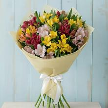 Букет цветов из:  Альстромерии в Пригородном