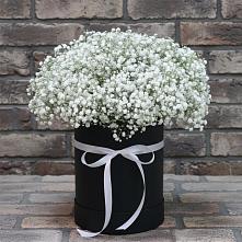 Цветочная композиция из Гипсофила в шляпной коробке в Пригородном