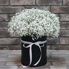Цветочная композиция из Гипсофила в шляпной коробке в Пригородном