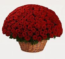 Премиум букет из: Розы в Пригородном