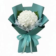 Букет цветов из:  Гортензия в Пригородном